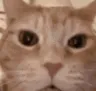 panic