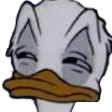ducksus