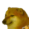 doge_sutta_samatva