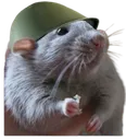 EFT_Rat EFT_Rat
