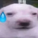 ermm