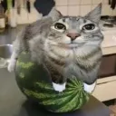 Giga