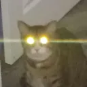 catlazer Discord Emoji