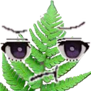 FernFern