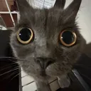 cc_bigOlEyes
