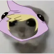sharkn17Sad