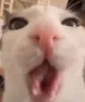 gasp