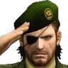 salute