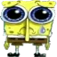 SADSPONGE
