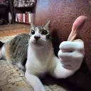 Thumb Thumb