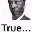 True