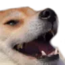 kekdog