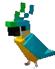 birdparrot3
