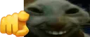 xddpoint