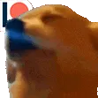 DogJam