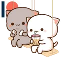 mls_mami