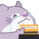 MeowSwipe