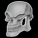 Skullsus Discord Emoji