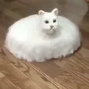 1194612976116846642