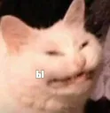 __