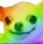 dog_rainbow