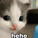HeheCatSmile