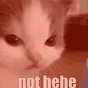 notHehe_angyCat