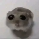 naaaaaaao