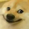 Doge_smile Doge_smile