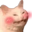 catblush