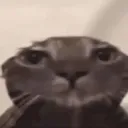 nah_no_need