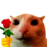 catrose