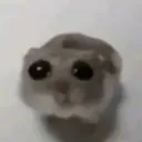 lillyhungry