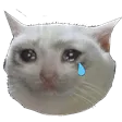 lathefSadge