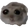 crying_hamster Discord emoji