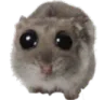 pwease