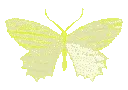 byellow