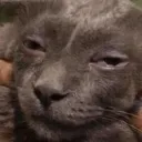 kms