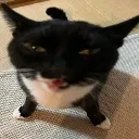 Blehhh