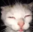 m_tengosuenio