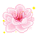 s_blossom