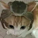 Headcrab