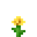 FlowerDandelion