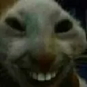 xdd