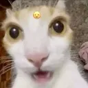 emoji_104