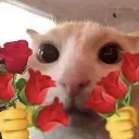 emoji_107
