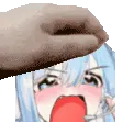 ShiftyPet