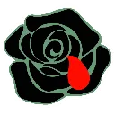 blackrose
