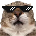 cool_terrance