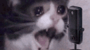 cat Discord Emoji